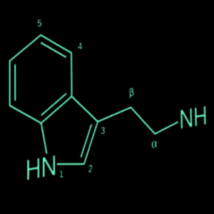 Fenethylaminen